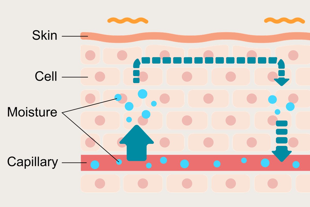 A diagram of skin in cross-section, labelling the skin surface, cells, moisture and a capillary, with arrows showing moisture moving between them.